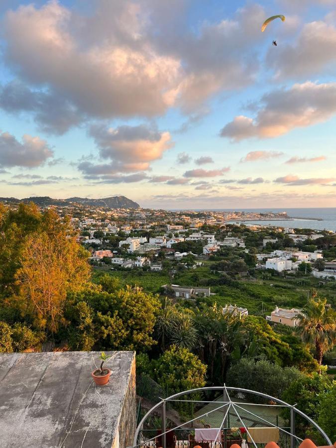 Bed and Breakfast Blu Panorama Forio di Ischia Zewnętrze zdjęcie