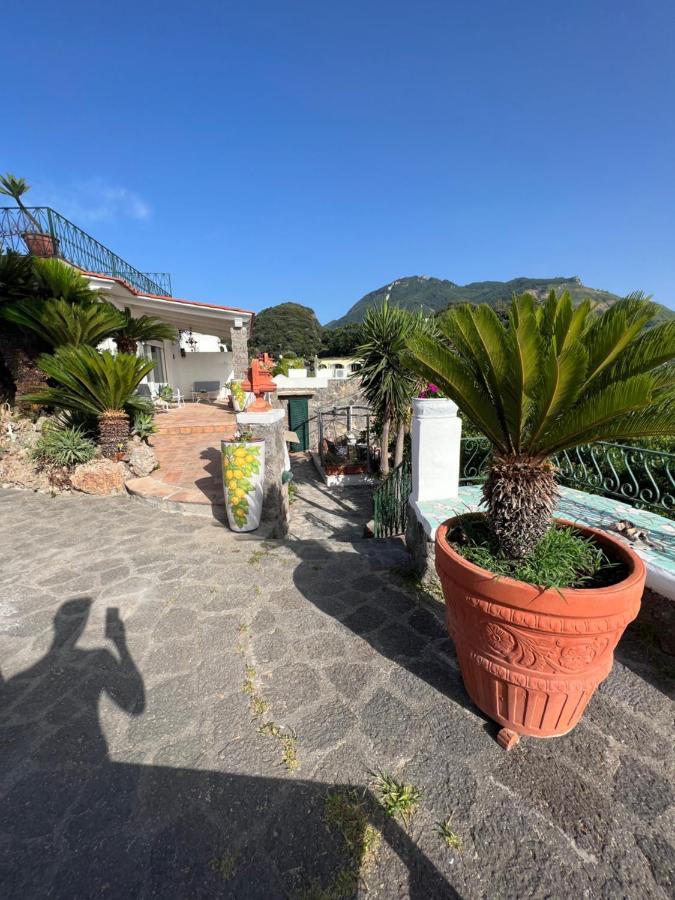 Bed and Breakfast Blu Panorama Forio di Ischia Zewnętrze zdjęcie