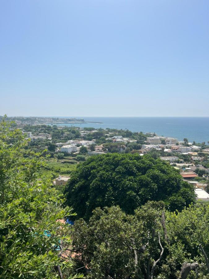 Bed and Breakfast Blu Panorama Forio di Ischia Zewnętrze zdjęcie