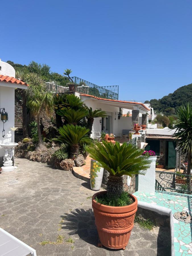 Bed and Breakfast Blu Panorama Forio di Ischia Zewnętrze zdjęcie