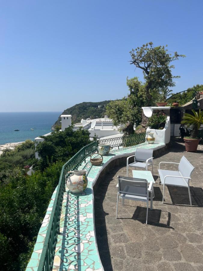 Bed and Breakfast Blu Panorama Forio di Ischia Zewnętrze zdjęcie